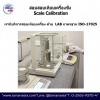 สอบเทียบเครื่องชั่ง ตรวจรับรองเครื่องชั่ง - เครื่องชั่งรถบรรทุกอุตสาหกรรม โทนัน อาเชีย ออโต้เทค